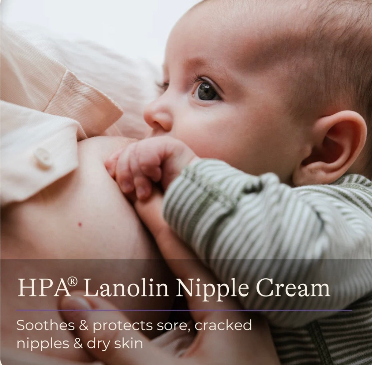 Lansinoh Lanolin Nipple Cream 7g