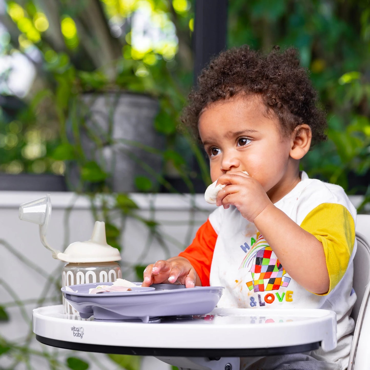 Vital baby power suction plate 9m+