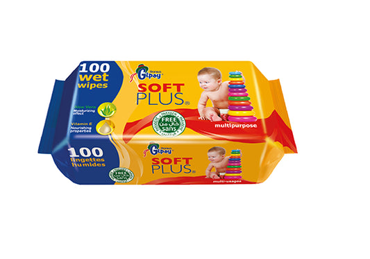 Gipsy Sanita wipes 100