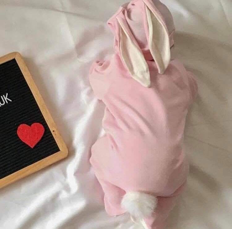 Baby girl 100% cotton 2 pieces  set
