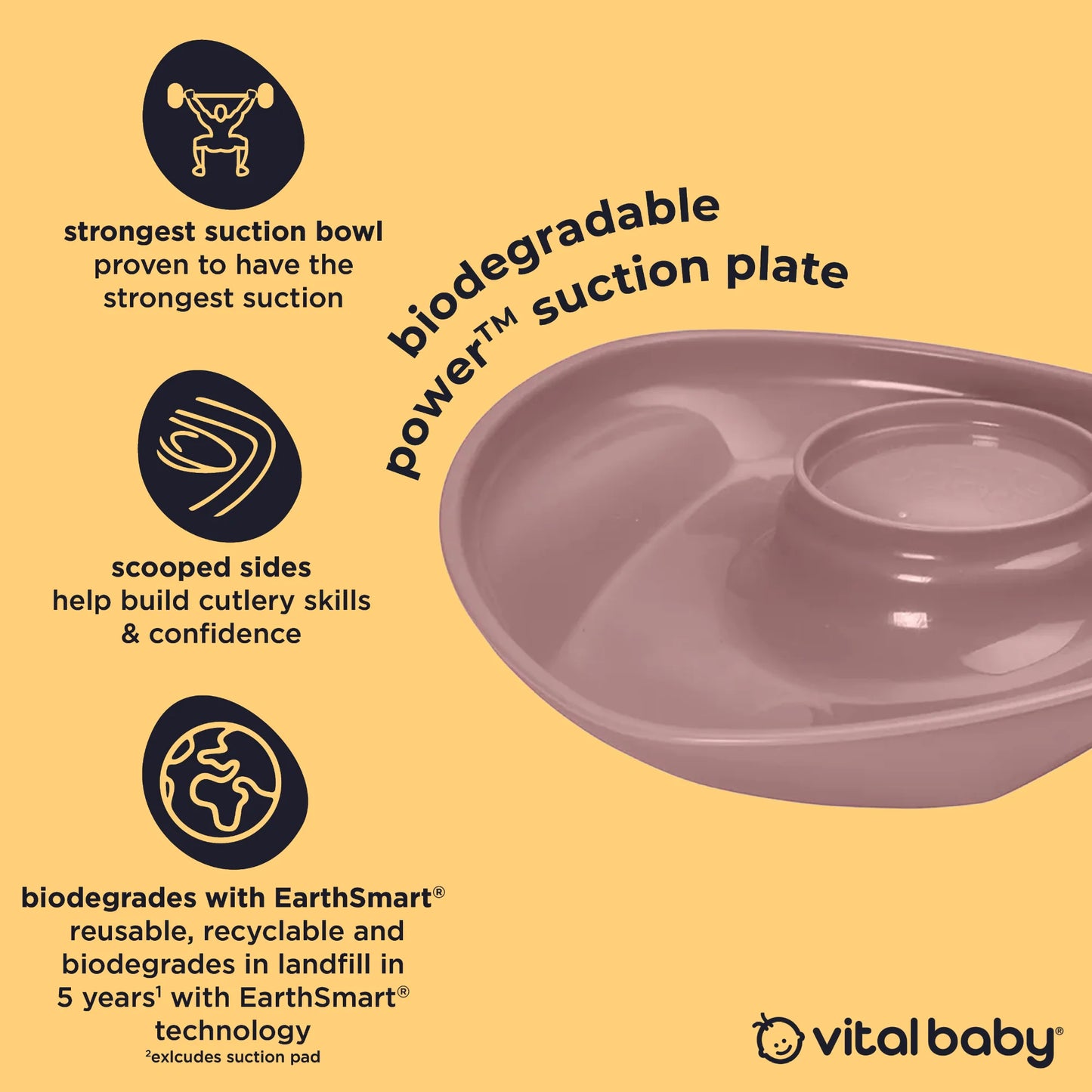 Vital baby power suction plate 9m+
